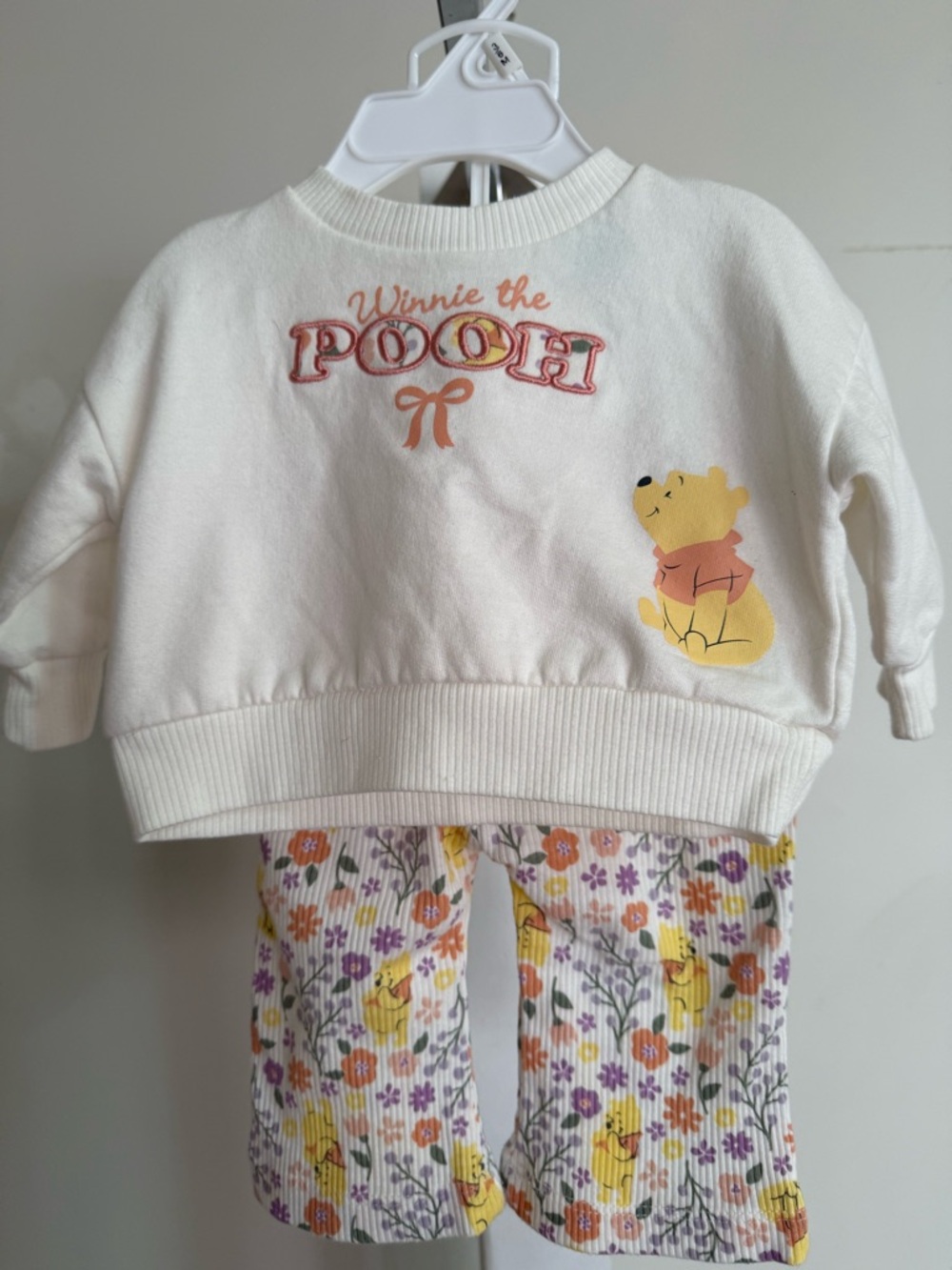 Disney Winnie the Pooh Outfit